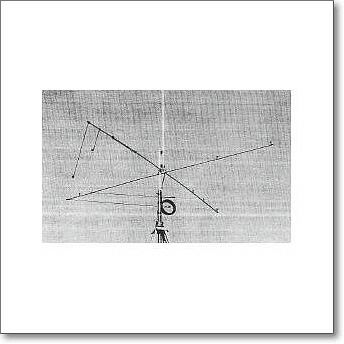 生産終了・完売】アレックスループウォークハム 世界中で2500本が使用